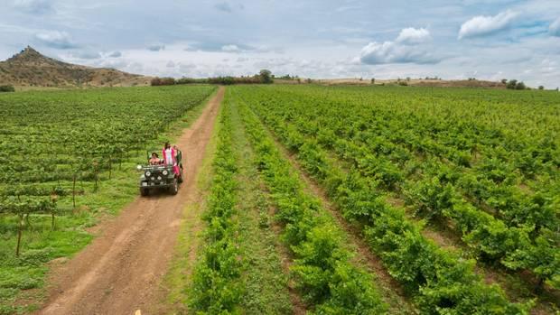 Fratelli Vineyards - Image 1